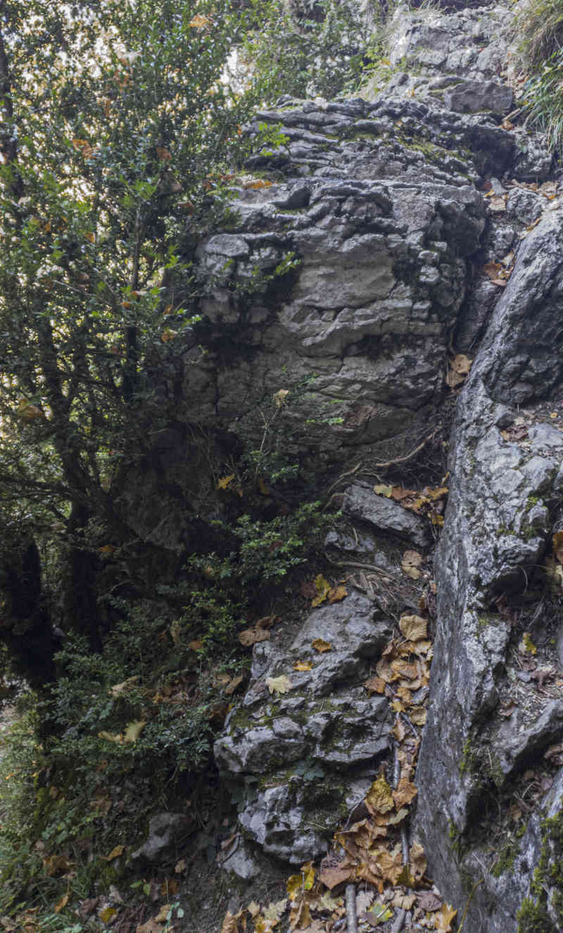 Huesca - parque nacional de Ordesa y Monte Perdido - valle de Escuaín 16 - garganta de Escuaín - sendero.jpg
